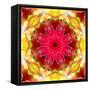 A Symmetric Floral Montage-Alaya Gadeh-Framed Stretched Canvas