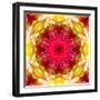 A Symmetric Floral Montage-Alaya Gadeh-Framed Photographic Print