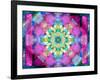 A Symmetric Ornament from Flower Photographs, Conceptual Layer Work-Alaya Gadeh-Framed Photographic Print