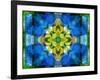 A Symmetric Ornament from Flower Photographs, Conceptual Layer Work-Alaya Gadeh-Framed Photographic Print