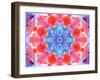 A Symmetric Ornament from Flower Photographs, Conceptual Layer Work-Alaya Gadeh-Framed Photographic Print