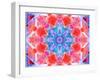 A Symmetric Ornament from Flower Photographs, Conceptual Layer Work-Alaya Gadeh-Framed Photographic Print