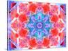 A Symmetric Ornament from Flower Photographs, Conceptual Layer Work-Alaya Gadeh-Stretched Canvas