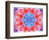 A Symmetric Ornament from Flower Photographs, Conceptual Layer Work-Alaya Gadeh-Framed Photographic Print