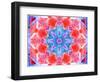 A Symmetric Ornament from Flower Photographs, Conceptual Layer Work-Alaya Gadeh-Framed Photographic Print