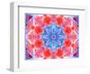 A Symmetric Ornament from Flower Photographs, Conceptual Layer Work-Alaya Gadeh-Framed Photographic Print