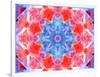 A Symmetric Ornament from Flower Photographs, Conceptual Layer Work-Alaya Gadeh-Framed Photographic Print