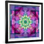 A Symmetric Ornament from Flower Photographs, Conceptual Layer Work-Alaya Gadeh-Framed Photographic Print