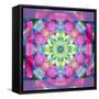 A Symmetric Ornament from Flower Photographs, Conceptual Layer Work-Alaya Gadeh-Framed Stretched Canvas