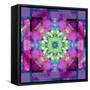 A Symmetric Ornament from Flower Photographs, Conceptual Layer Work-Alaya Gadeh-Framed Stretched Canvas