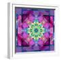 A Symmetric Ornament from Flower Photographs, Conceptual Layer Work-Alaya Gadeh-Framed Photographic Print