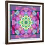 A Symmetric Ornament from Flower Photographs, Conceptual Layer Work-Alaya Gadeh-Framed Photographic Print