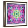 A Symmetric Ornament from Flower Photographs, Conceptual Layer Work-Alaya Gadeh-Framed Photographic Print
