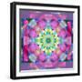 A Symmetric Ornament from Flower Photographs, Conceptual Layer Work-Alaya Gadeh-Framed Photographic Print