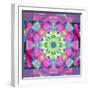 A Symmetric Ornament from Flower Photographs, Conceptual Layer Work-Alaya Gadeh-Framed Photographic Print