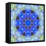 A Symmetric Ornament from Flowers, Photograph, Layer Work-Alaya Gadeh-Framed Stretched Canvas