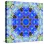 A Symmetric Ornament from Flowers, Photograph, Layer Work-Alaya Gadeh-Stretched Canvas