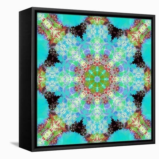 A Symmetric Ornament from Flowers, Photograph, Layer Work-Alaya Gadeh-Framed Stretched Canvas