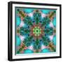 A Symmetric Ornament from Flowers, Photograph, Layer Work-Alaya Gadeh-Framed Photographic Print