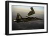 A T-38 Talon Flies in Formation with a B-2 Spirit-null-Framed Photographic Print
