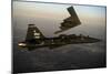 A T-38 Talon Flies in Formation with a B-2 Spirit-null-Mounted Photographic Print