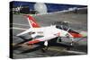 A T-45C Goshawk Lands on the Flight Deck of USS Theodore Roosevelt-null-Stretched Canvas