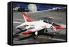 A T-45C Goshawk Lands on the Flight Deck of USS Theodore Roosevelt-null-Framed Stretched Canvas