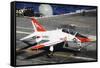 A T-45C Goshawk Lands on the Flight Deck of USS Theodore Roosevelt-null-Framed Stretched Canvas