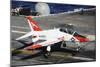 A T-45C Goshawk Lands on the Flight Deck of USS Theodore Roosevelt-null-Mounted Photographic Print