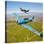 A T-6 Texan and P-51D Mustang in Flight over Chino, California-null-Stretched Canvas