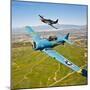 A T-6 Texan and P-51D Mustang in Flight over Chino, California-null-Mounted Photographic Print