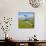 A T-6 Texan and P-51D Mustang in Flight over Chino, California-null-Mounted Photographic Print displayed on a wall