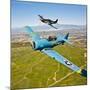 A T-6 Texan and P-51D Mustang in Flight over Chino, California-null-Mounted Photographic Print