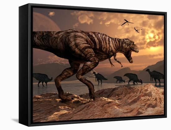 A T-Rex Plans His Attack on a Herd of Parasaurolophus Dinosaurs-Stocktrek Images-Framed Stretched Canvas