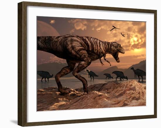 A T-Rex Plans His Attack on a Herd of Parasaurolophus Dinosaurs-Stocktrek Images-Framed Photographic Print