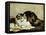 A Tabby Cat, 1920-Charles Van Den Eycken-Framed Stretched Canvas