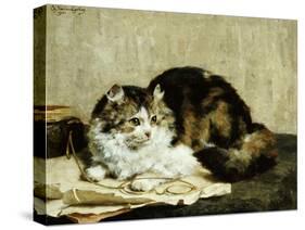 A Tabby Cat, 1920-Charles Van Den Eycken-Stretched Canvas