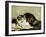 A Tabby Cat, 1920-Charles Van Den Eycken-Framed Giclee Print