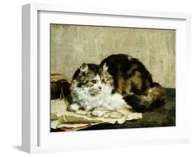A Tabby Cat, 1920-Charles Van Den Eycken-Framed Giclee Print