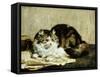 A Tabby Cat, 1920-Charles Van Den Eycken-Framed Stretched Canvas