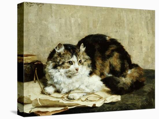 A Tabby Cat, 1920-Charles Van Den Eycken-Stretched Canvas