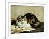 A Tabby Cat, 1920-Charles Van Den Eycken-Framed Giclee Print