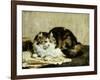 A Tabby Cat, 1920-Charles Van Den Eycken-Framed Giclee Print