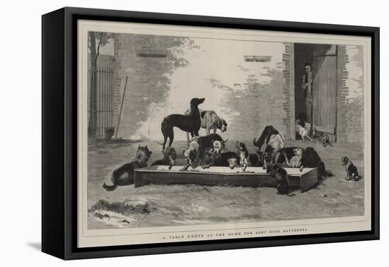 A Table D'Hote at the Home for Lost Dogs, Battersea-John Charles Dollman-Framed Stretched Canvas