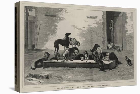 A Table D'Hote at the Home for Lost Dogs, Battersea-John Charles Dollman-Stretched Canvas