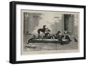 A Table D'Hote at the Home for Lost Dogs, Battersea-John Charles Dollman-Framed Giclee Print