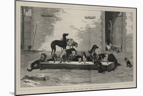 A Table D'Hote at the Home for Lost Dogs, Battersea-John Charles Dollman-Mounted Giclee Print