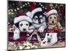 A Tail Wagging Christmas-Jenny Newland-Mounted Giclee Print