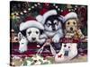 A Tail Wagging Christmas-Jenny Newland-Stretched Canvas