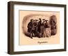 A Tale of Two Cities by Charles Dickens-Hablot Knight Browne-Framed Giclee Print